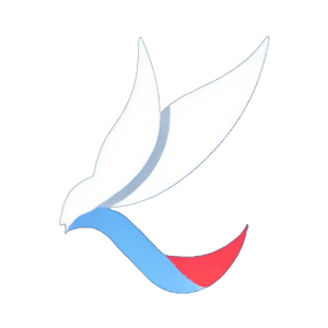 shape image